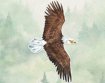 May include: A sticker illustration of a bald eagle in flight with its wings spread wide. The eagle features a white head and tail with dark brown feathers on its body and wings, depicted against a pale green background of pine trees.