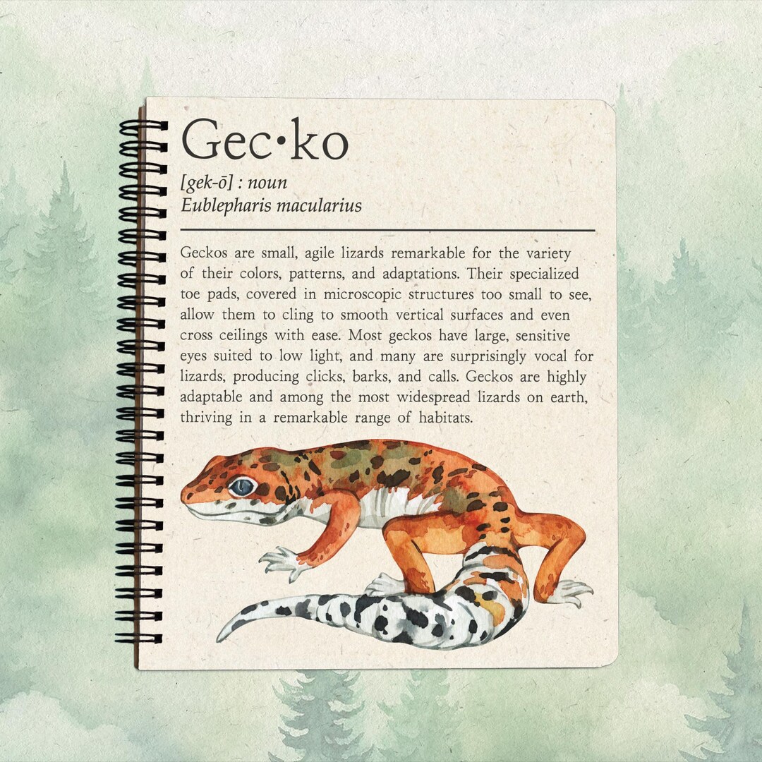 Notebook Lizard Softcover Gecko Journal, Cute Lizard Lover Gift, Handmade Spiral ...