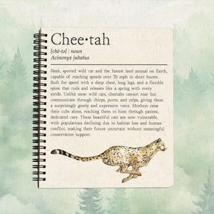 May include: A spiral-bound notebook page featuring the word Cheetah, its phonetic spelling, and the scientific name Acinonyx jubatus. The text describes the animal's physical traits and conservation status, accompanied by a watercolor illustration of a running cheetah.