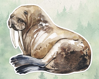 Walrus sticker, Waterproof vinyl decal, Animal lover gifts