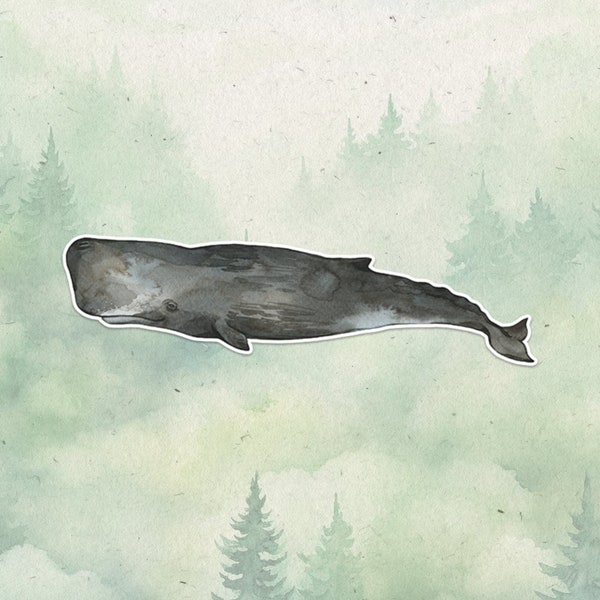 Sperm whale sticker, Waterproof vinyl decal, Whale sticker