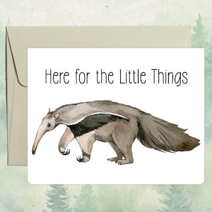 Personalisierte Grußkarte mit Ameisenbär, Geschenk für Tierliebhaber, Personalisierte Grußkarte