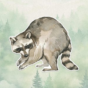 Waterproof vinyl raccoon sticker, Cute animal lover gift, Great decal for laptops, kindles, and water bottles