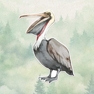 Wasserfester Vinyl Pelikan Aufkleber, Süßes Vogel Liebhaber Geschenk, Toller Aufkleber für Laptops, Kindles und Wasserflaschen