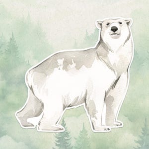 May include: A watercolour illustration of a polar bear, featuring a white body with grey shading. The bear is set against a light green backdrop of a forest. The image has a white border.