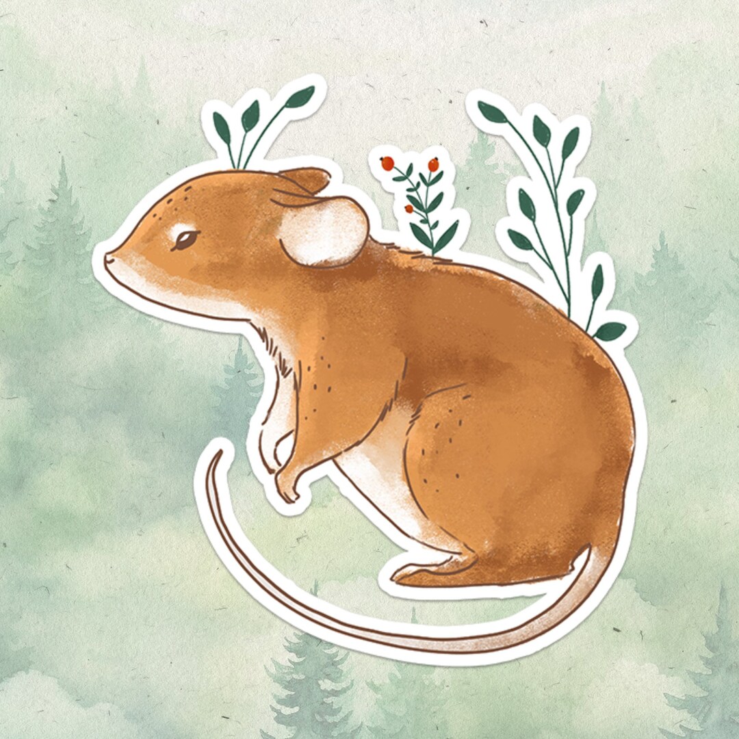 Mouse Stickers Mouse Sticker, Waterproof Vinyl Decal, Animal Lover Gifts - Etsy