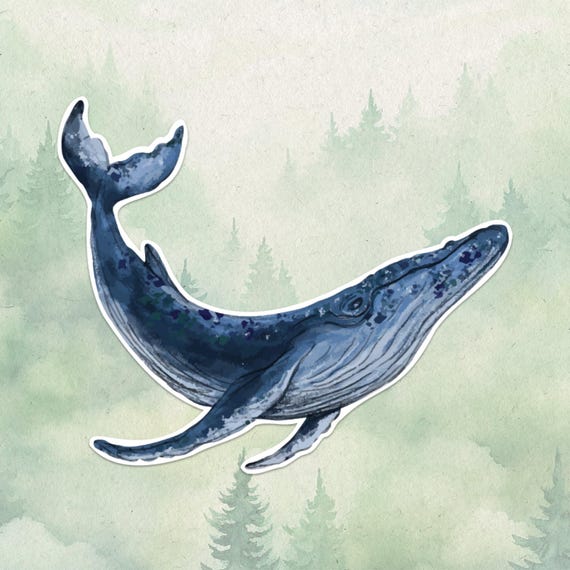 Waterproof Vinyl Whale Sticker, Cute Animal Lover Gift, Great