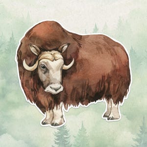 Waterproof vinyl muskox sticker, Cute animal lover gift, Great decal for laptops, kindles, and water bottles