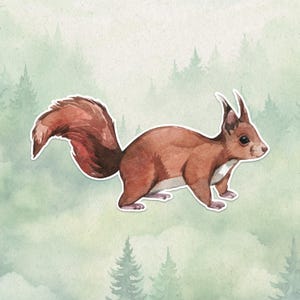 Waterproof vinyl squirrel sticker, Cute animal lover gift, Great decal for laptops, kindles, and water bottles