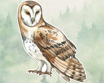Adesivo in vinile impermeabile raffigurante un barbagianni, simpatico regalo per gli amanti degli animali, ottimo adesivo per computer portatili, Kindle e bottiglie d&#39;acqua.