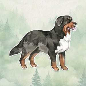 Waterdicht vinyl Berner Mountain-sticker, leuk hondenliefhebbercadeau, geweldige sticker voor laptops, kindles en waterflessen