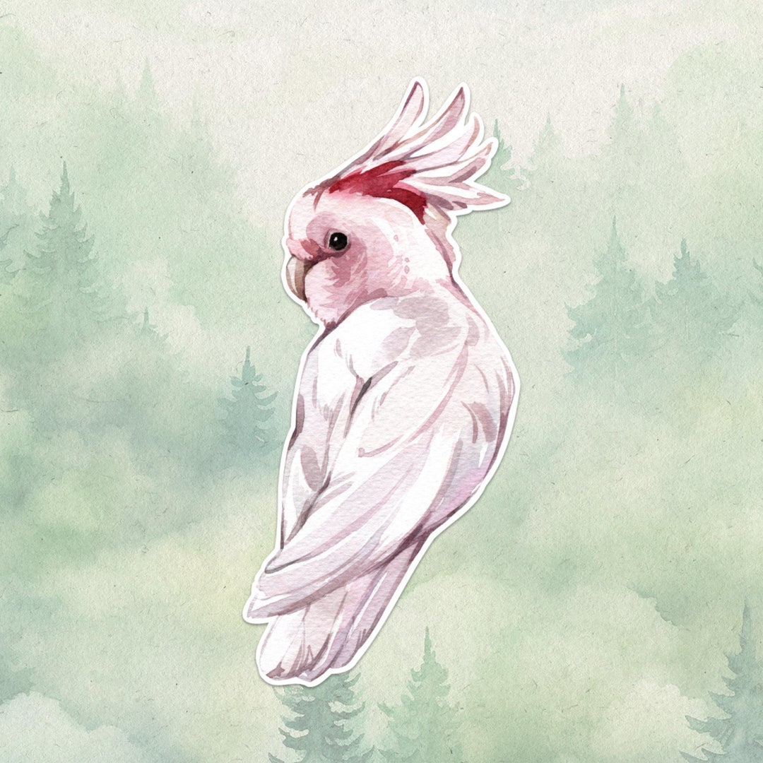 "I Love My Toos!" Cockatoo Bird Vinyl Window Decal - 5x6 Inch Outdoor Sticker