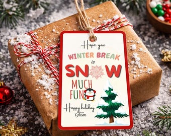 Winter Break Gift Tags | Hope Your Winter Break Is Snow Much Fun | Snowman Student Tags | Christmas Classroom Holiday Favor | Printable