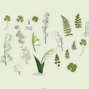 Set of snow drops stickers, green leaves, orange leaves, plant stickers, bullet journal stickers, autumn leaves