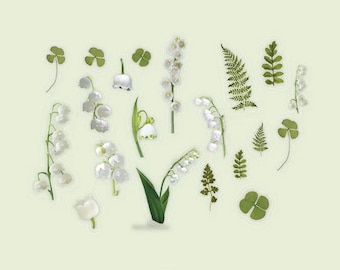 May include: A collection of white lily of the valley flowers and green clover leaves, arranged in a circular pattern on a light green background.