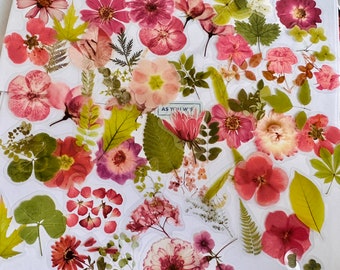 May include: An assortment of pressed flowers and leaves in various shades of pink, green, and white. The flowers are arranged in a random pattern on a white background. The text "As You Wish" is visible in the image.
