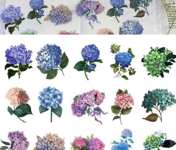 Set of Hydrangea Floral Stickers Flower Plants Craft Stickers - Etsy