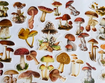 set of mushroom / woodland /planner stickers / craft stickers