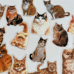 Stickers chat roux, Stickers agenda, Stickers agenda, Fabrication de cartes, Stickers coréens, Stickers petits travaux manuels, Scrapbooking BC, cadeau chat noir