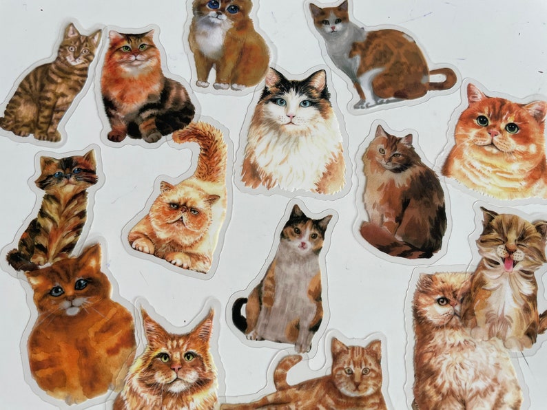 K&ouml;nnte beinhalten: Eine Sammlung bunter Katzenaufkleber mit verschiedenen Posen und Gesichtsausdr&uuml;cken. Die Aufkleber zeigen Katzen mit unterschiedlichen Fellmustern und -farben, darunter Orange, Braun, Wei&szlig; und Schwarz.
