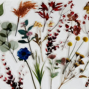 Getrocknete Blumen Aufkleber Set, Wildblumenstrauß Aufkleber, Wildblumen Aufkleber, Hippie Boho Blumen Aufkleber, Wiesenblumen Aufkleber