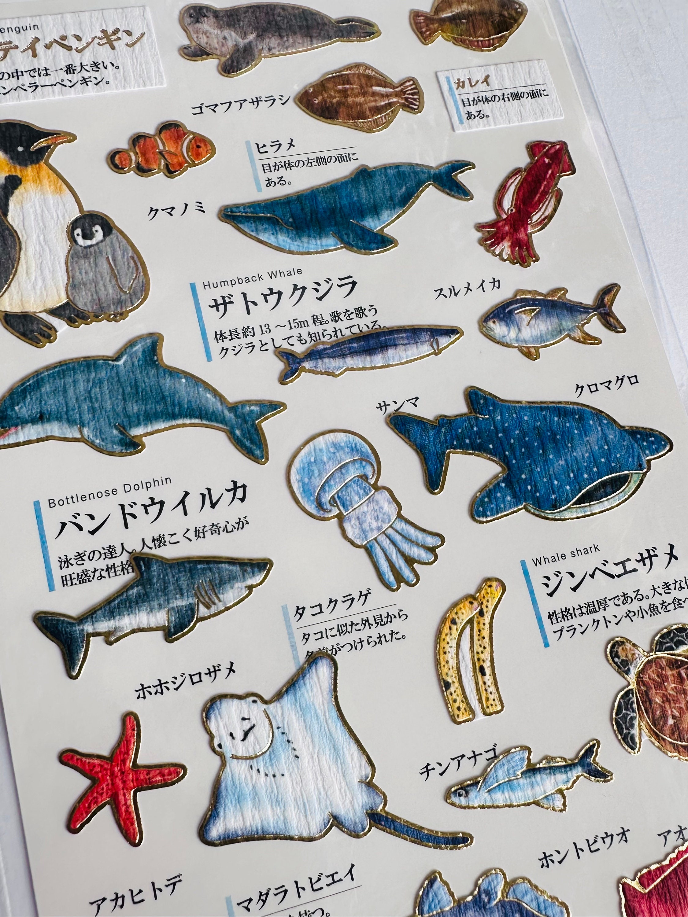 Life Fish Sticker Set of Sealife Fish Stickers, Sea Life, Coral Reef Fish Marine Stickers ...