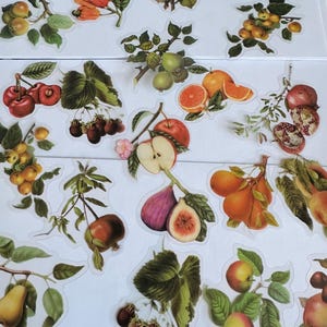 Set di adesivi in vinile con frutti, adesivi con bacche, adesivi con frutta, adesivi con fragole, adesivi con frutti di bosco, prugna, mela, lampone, albicocca, fiore