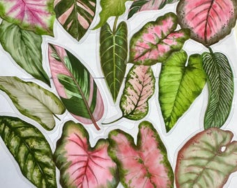 Set of green plant stickers, green leaves, orange leaves, plant stickers, bullet journal stickers, Monstera Deliciosa plant