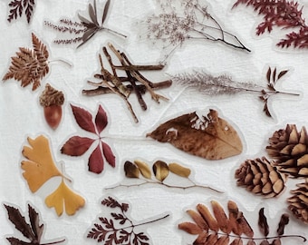 10 set autumn pressed  plant flower plants craft stickers, brown leaves, stickers, dried plants stickers