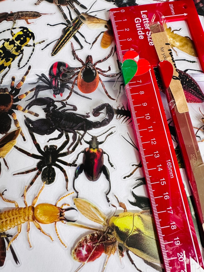 Large Vinyl Transparent Insect Stickers | Die Cut Decal Set ...