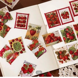 Splendido set di adesivi a tema fragola/bacche/cucina