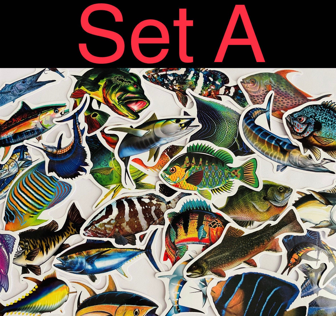 dj00057 Grote stickers Zeedieren - Met Muisjes