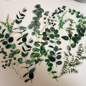 Set of eucalyptus stickers, green leaves, orange leaves, plant stickers, bullet journal stickers, autumn leaves