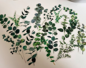 Set of eucalyptus stickers, green leaves, orange leaves, plant stickers, bullet journal stickers, autumn leaves