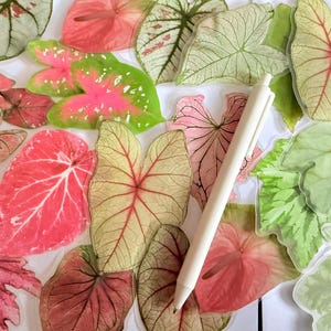 May include: An assortment of colorful leaf-shaped stickers in shades of pink, green, and cream, with a white pen resting among them. The leaves have intricate vein details and varying patterns, creating a vibrant and artistic display.