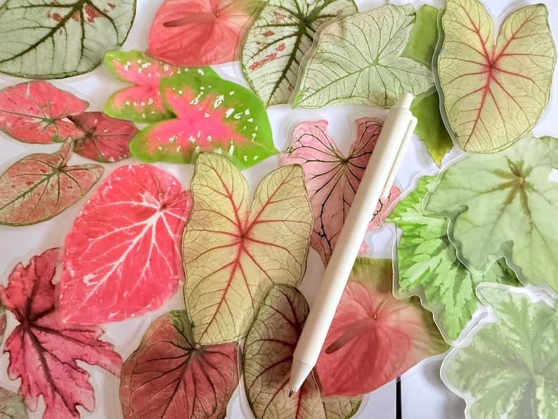 May include: An assortment of colorful leaf-shaped stickers in shades of pink, green, and cream, with a white pen resting among them. The leaves have intricate vein details and varying patterns, creating a vibrant and artistic display.