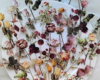 May include: A collection of dried rose flowers in various shades of pink, yellow, and purple, arranged on a white plate. The flowers are delicate and have a natural, rustic look.
