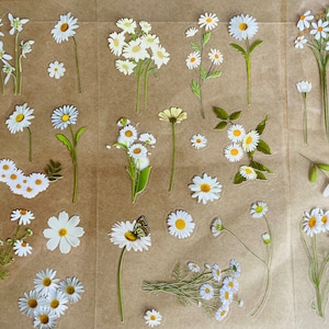 Foglio di adesivi con fiori di margherita, adesivi con fiori, prato, adesivi con margherite, adesivi con fiori bianchi, adesivi floreali hippie boho, fiori di prato