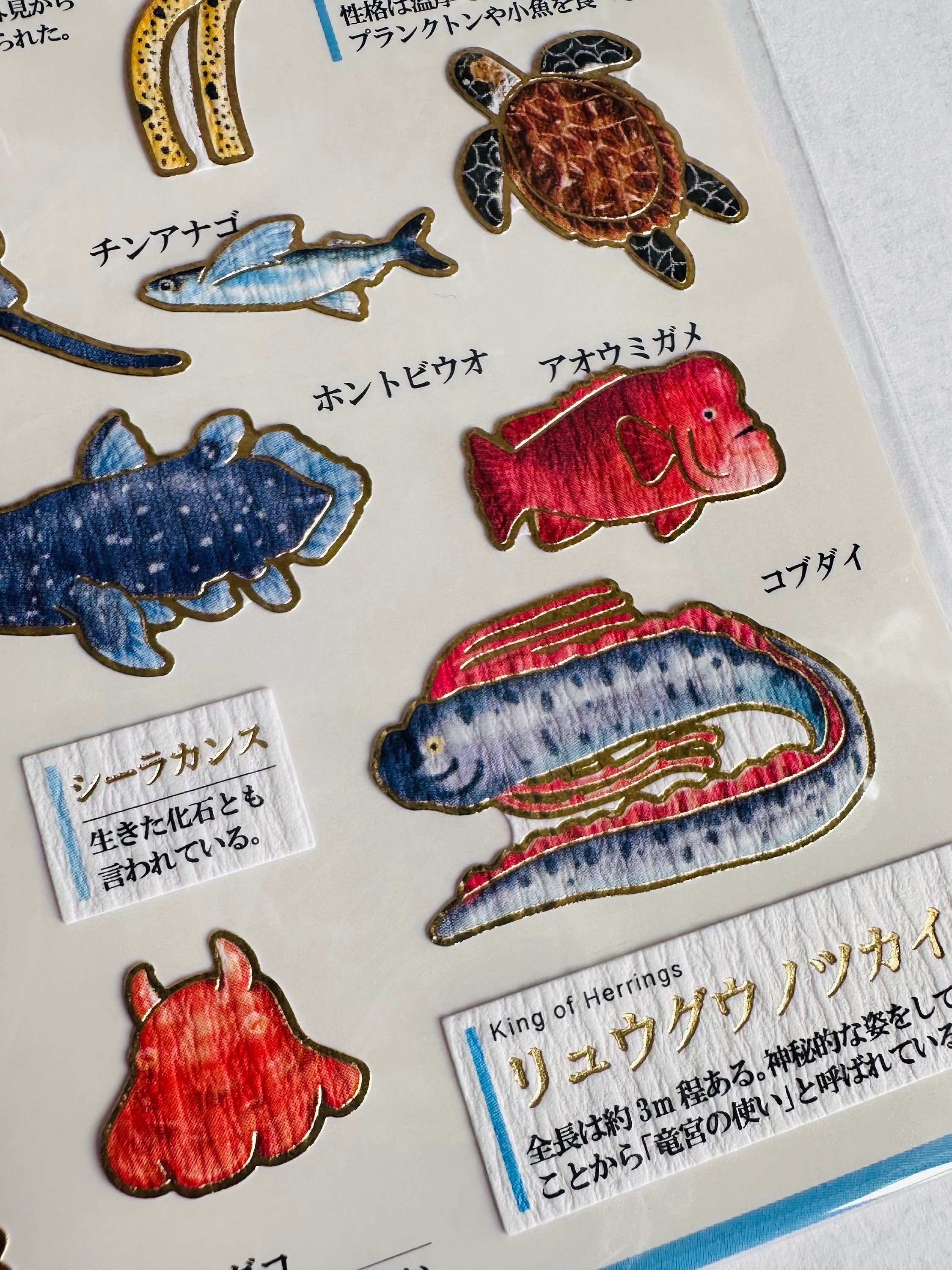 Life Fish Sticker Set of Sealife Fish Stickers, Sea Life, Coral Reef Fish Marine Stickers ...
