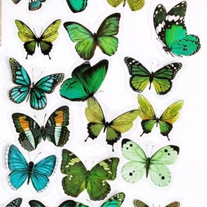 Green Butterfly Sticker Set, Watercolour Insect Stickers, Butterflies Crafting Stickers, Pink butterfly Stickers, Butterfly Lover Gift,