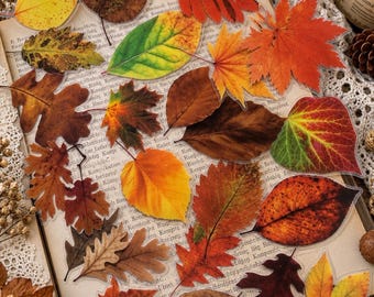 May include: A collection of assorted transparent stickers featuring various autumn leaves in shades of red, orange, yellow, green, and brown. The stickers display detailed textures and veins of maple, oak, and other foliage shapes arranged on a book.