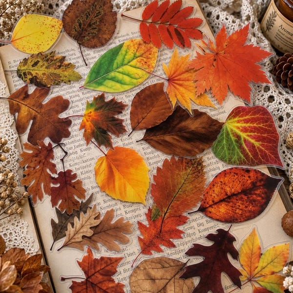 Set aus Blattaufklebern, grünen Blättern, orangefarbenen Blättern, Pflanzenaufklebern, Bullet Journal Aufklebern, Herbstblättern
