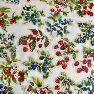 Set di adesivi di frutta mista, adesivi di bacche, adesivi di frutta, adesivi di fragole, adesivi di frutti di bosco, prugna, mela, lampone, albicocca, fiori
