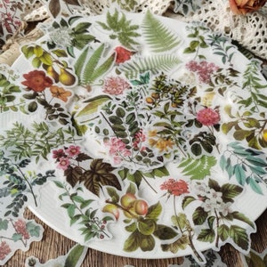 Confezione da 10 adesivi misti con foglie / retro bianco / realistici / stelo floreale / petalo del fiorista / creazione di biglietti di giornale