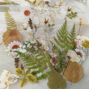 Set di adesivi con fiori secchi, adesivi con bouquet di fiori selvatici, adesivi con fiori selvatici, adesivi floreali hippie boho, adesivi con fiori di prato