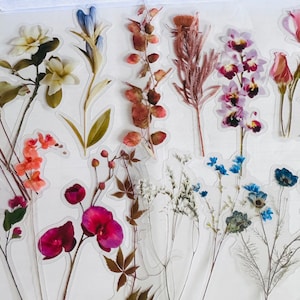 Set di adesivi con fiori secchi, adesivi con bouquet di fiori selvatici, adesivi con fiori selvatici, adesivi floreali hippie boho, adesivi con fiori di prato