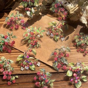 Set di adesivi di frutta mista, adesivi di bacche, adesivi di frutta, adesivi di fragole, adesivi di frutti di bosco, prugna, mela, lampone, albicocca, fiori