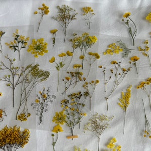 Folha de adesivos de flores amarelas, adesivos florais, flores prensadas, diário com marcadores, adesivos de planejador, adesivos natire, papel de carta floral