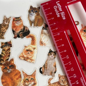 K&ouml;nnte beinhalten: Eine Blatt mit bunten Katzenaufklebern mit einem Lineal zum Gr&ouml;&szlig;envergleich. Das Lineal ist in Millimetern und Zoll gekennzeichnet. Die Aufkleber zeigen verschiedene Katzenrassen in verschiedenen Posen.