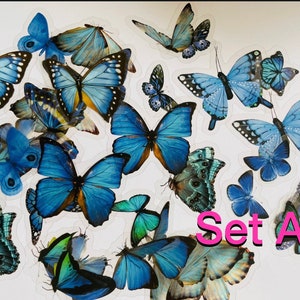 May include: A set of blue butterfly stickers with a clear background. The stickers are arranged in a random pattern and feature different sizes and wing shapes. The text "Set A" is visible in the bottom right corner of the image.